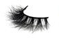 Langlebige unsichtbare Band-Wimpern, schwarze natürliche schauende falsche Wimpern fournisseur